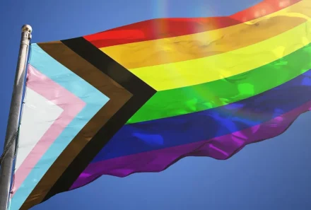 28 de juny, Dia per l’alliberament Lesbià, Gai, Transexual, Bisexual i Intersexual