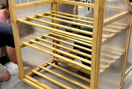 CONSTRUÏM UN HIVERNACLE PELS NOSTRES PLANTERS