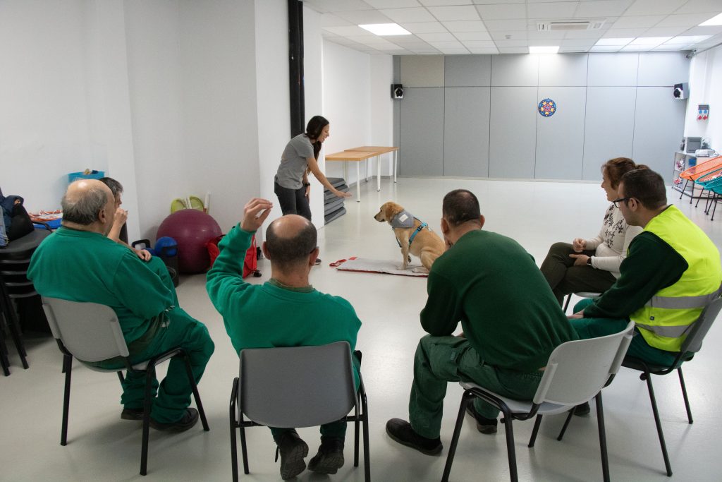 Teràpia amb gossos a Femarec per millorar la vida de les persones 1 IMG 9914