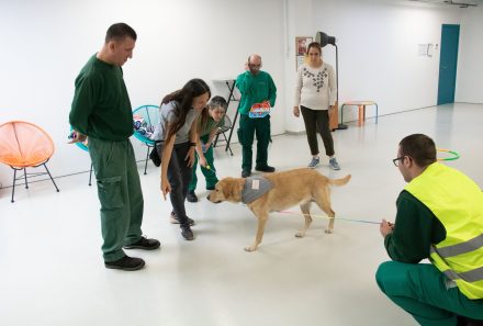 Teràpia amb gossos a Femarec per millorar la vida de les persones
