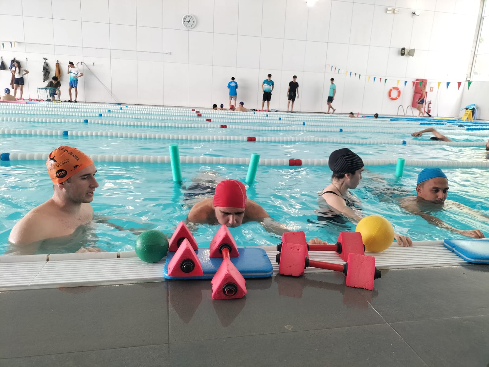 8f872229 c99f 4950 b5be 565a8b8def48