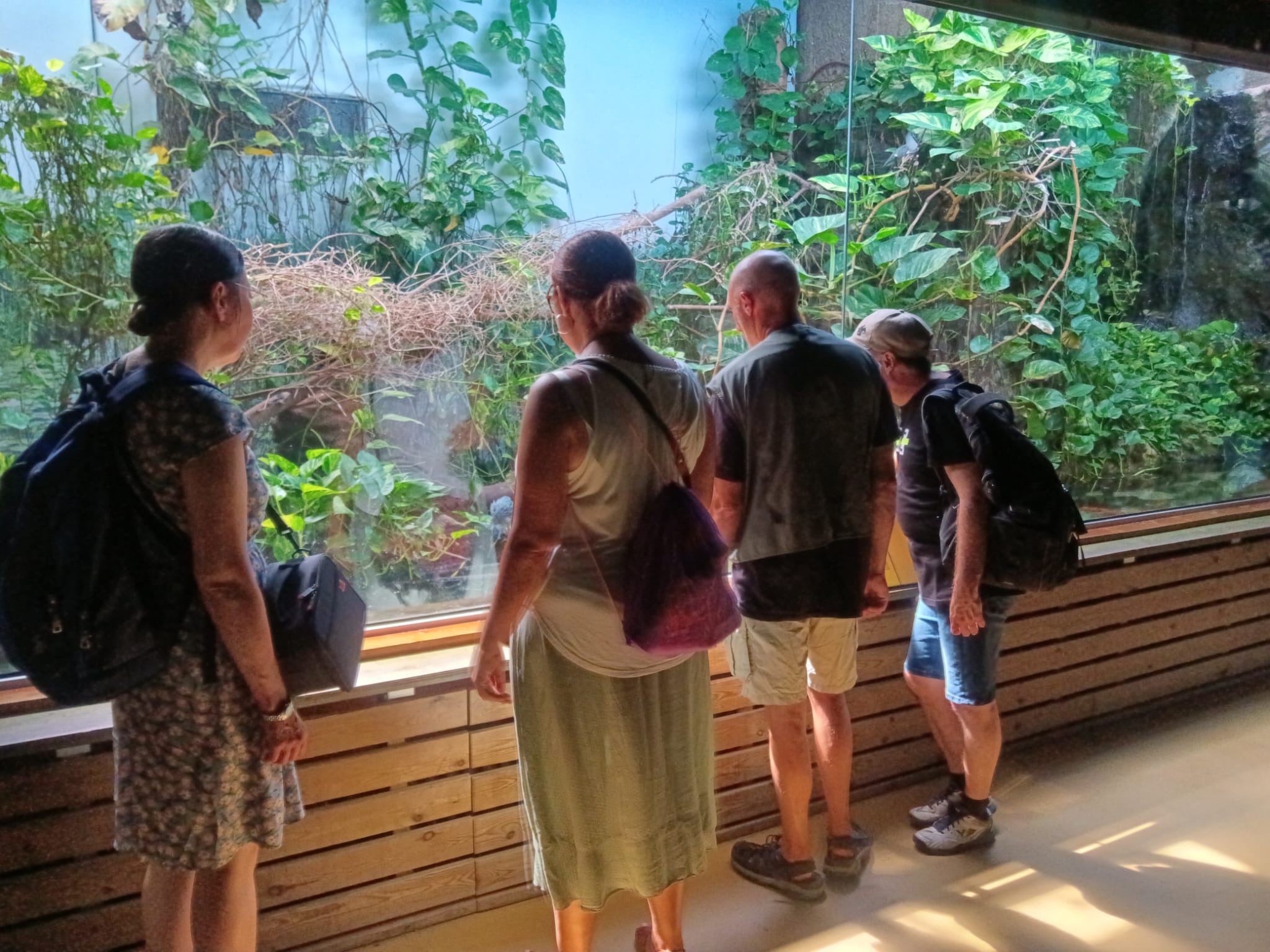 61e72903 3857 4dd4 96fc d962d67fee37