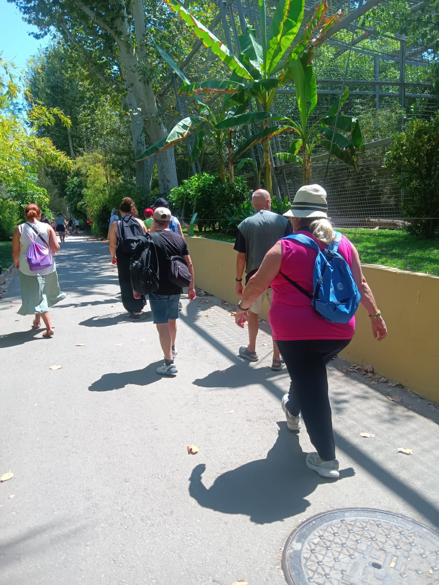 9efca43f 3daf 4eeb 86d2 bd9b9886a313