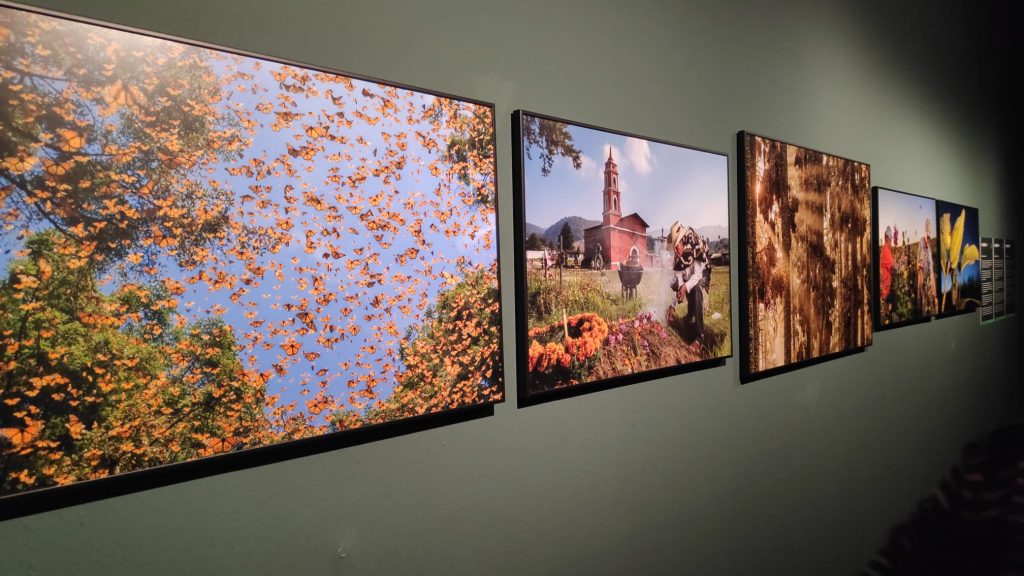 WhatsApp Image 2024 11 22 at 09.04.07 1