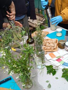 original 789BBE34 FAF7 479D AECC 4C733A5D6BB8