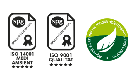 Sin titulo 2 e1737102699749