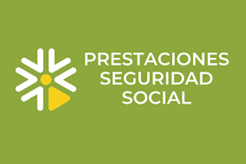 Curs: Prestacions de la Seguretat Social - Nivell bàsic 2 Warehouse worker driver in uniform at storage warehouse